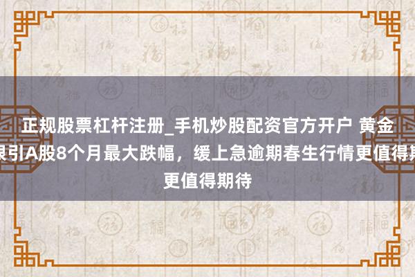 正规股票杠杆注册_手机炒股配资官方开户 黄金白银引A股8个月最大跌幅，缓上急逾期春生行情更值得期待